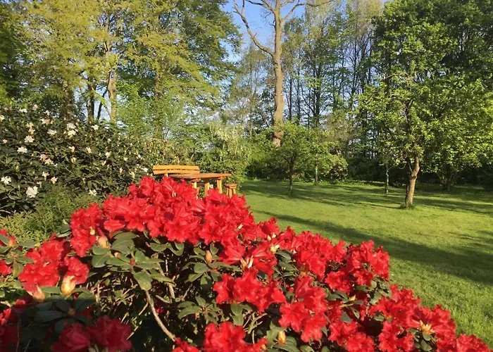 Feriehus Beim Rosengarten