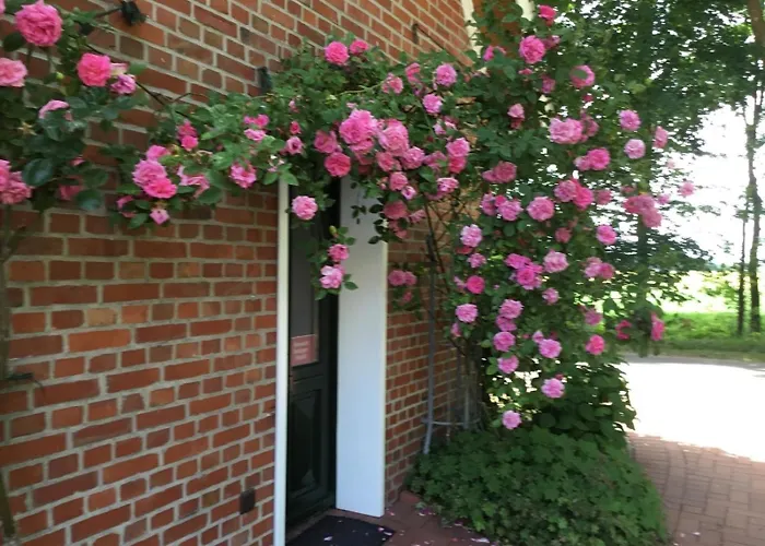 Feriehus Beim Rosengarten